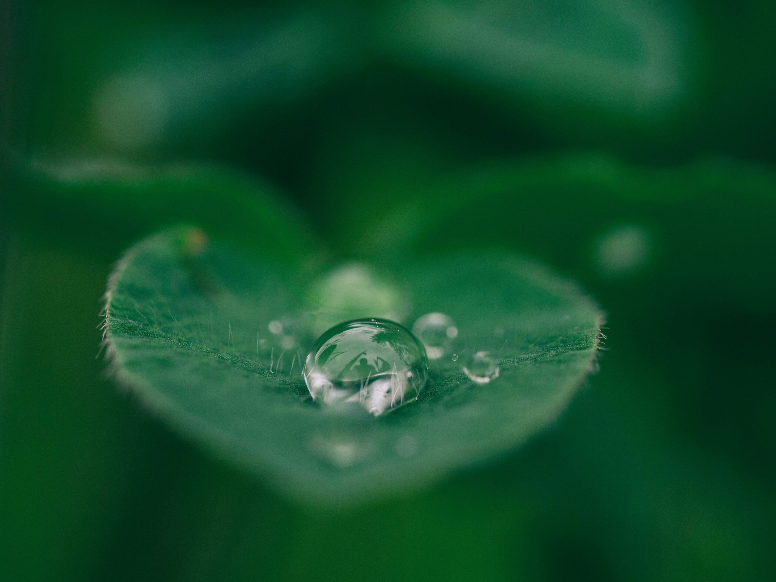 Hello World Featured Image